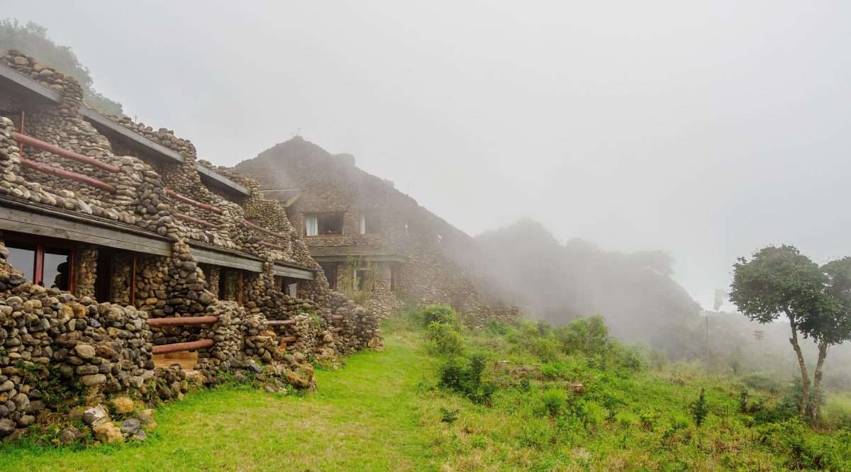 Ngorongoro Serena Safari Ngorongoro Conservation Area Tanzania Book best Kenya safaris Tanzania safaris and Africa safari holidays with Africa Kenya Safari 83 scaled