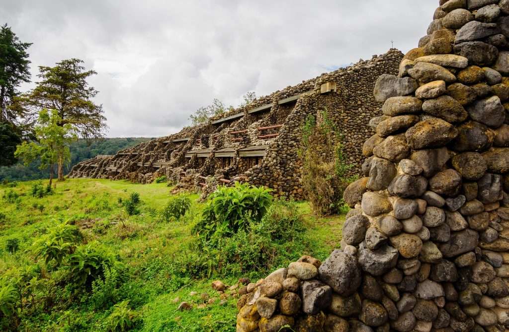 Ngorongoro Serena Safari Ngorongoro Conservation Area Tanzania Book best Kenya safaris Tanzania safaris and Africa safari holidays with Africa Kenya Safari 84 scaled