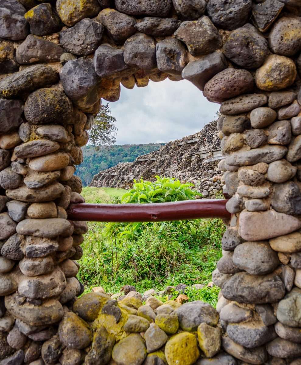 Ngorongoro Serena Safari Ngorongoro Conservation Area Tanzania Book best Kenya safaris Tanzania safaris and Africa safari holidays with Africa Kenya Safari 85 scaled