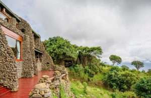 Ngorongoro Serena Safari Lodge located at Ngorongoro Conservation Area in Tanzania. Book best Kenya safaris, Tanzania safaris and Africa safari holidays with Africa Kenya Safaris