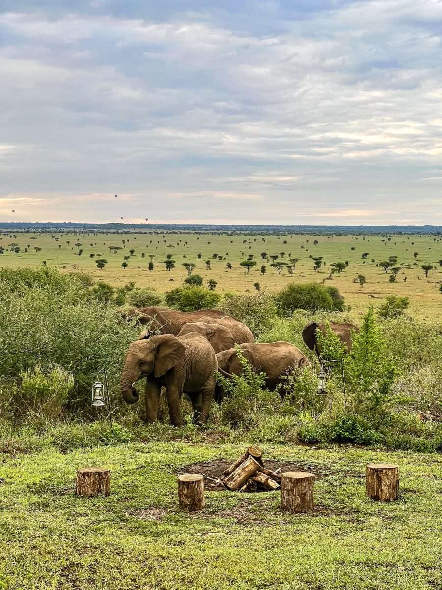 Nyikani Central Camp Serengeti 38 scaled