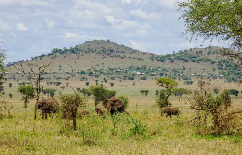 Nyikani Central Camp Serengeti 41 scaled