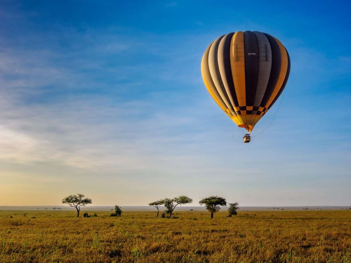 Serengeti National Park Tanzania Book best Kenya safaris Tanzania safaris and Africa safari holidays with Africa Kenya Safaris 206 scaled