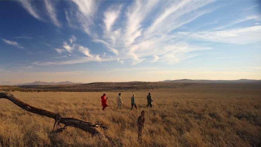 Lewa Safari Camp Lewa Wildlife Conservancy in Kenya Africa Kenya Safaris 2