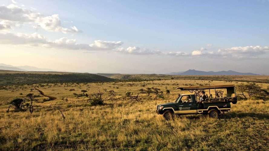 Lewa Safari Camp Lewa Wildlife Conservancy in Kenya Africa Kenya Safaris 5