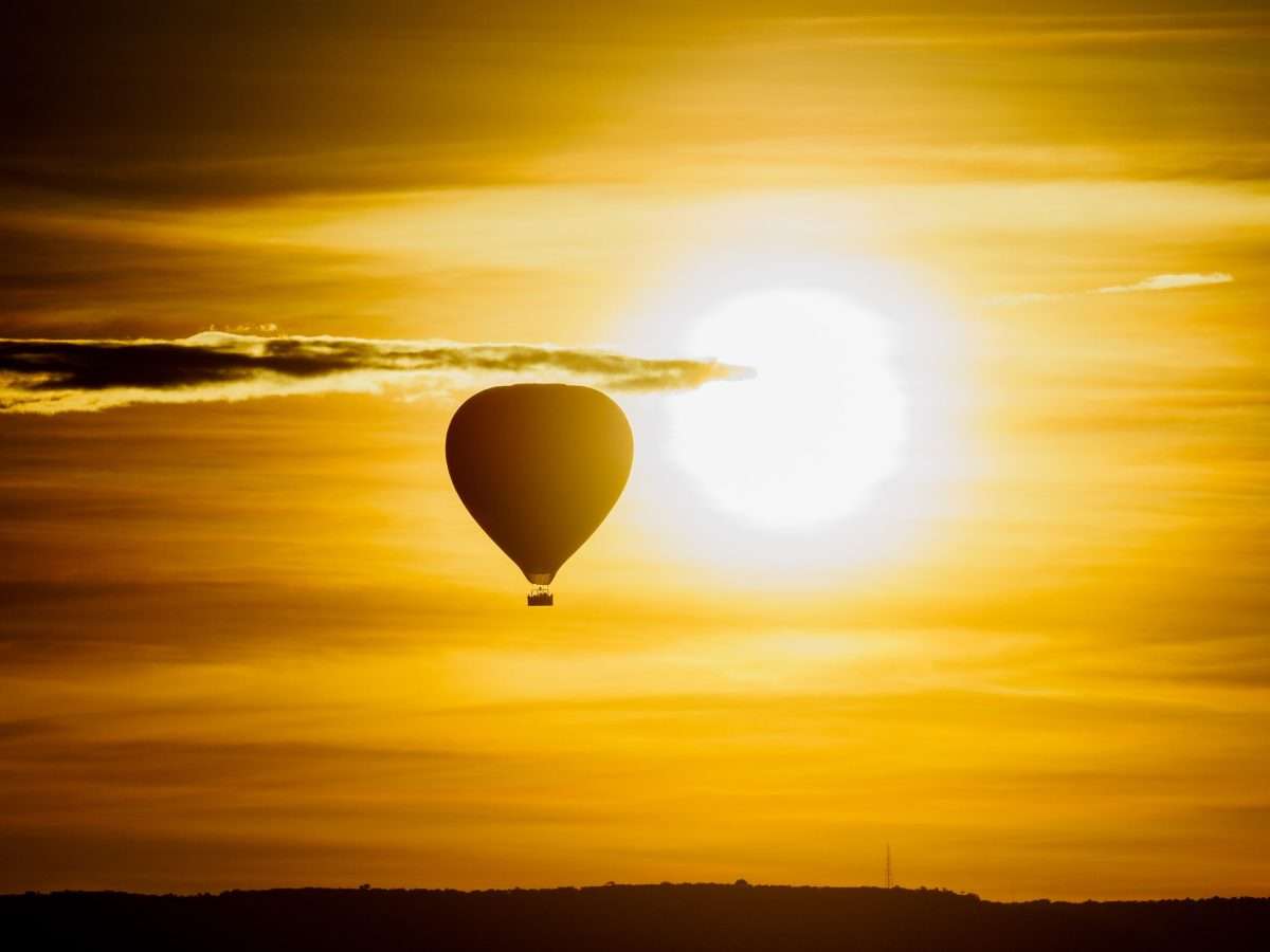 Masai Mara wildlife safaris Africa Kenya Safaris 18 scaled