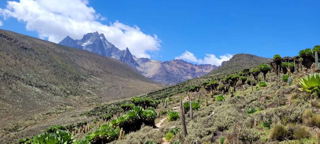 Mount Kenya climbing adventure tours by Africa Kenya Safaris - credits Glamping Kenya (11)