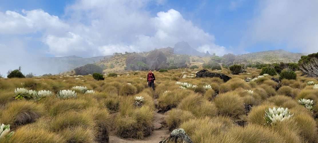 Mount Kenya climbing adventure tours by Africa Kenya Safaris - credits Glamping Kenya (7)