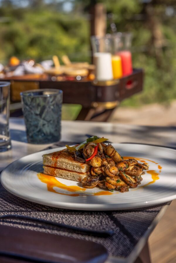 Luxury Safari Lodges & Tented Camps