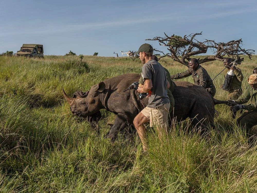 Borana Wildlife Conservancy in Kenya - Africa Kenya Safaris