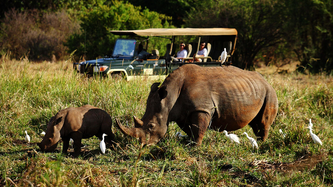 Rhino at Elsa's Kopje - Meru National Park in Kenya - Africa Kenya Safaris