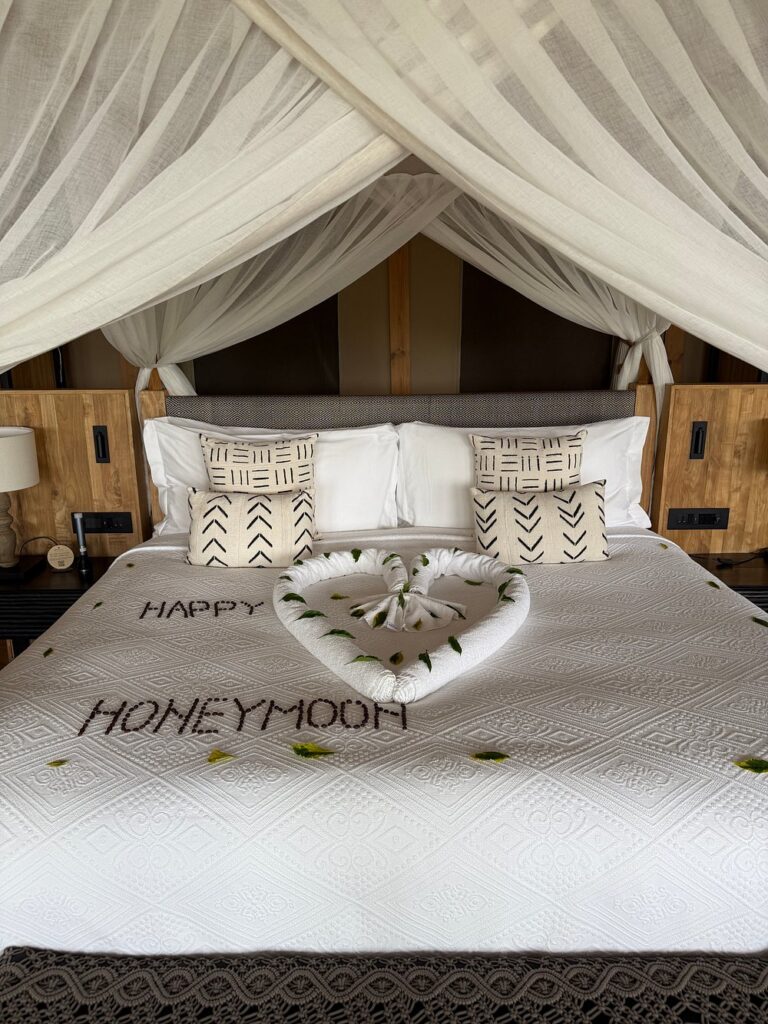 Luxury Safari Lodges & Tented Camps