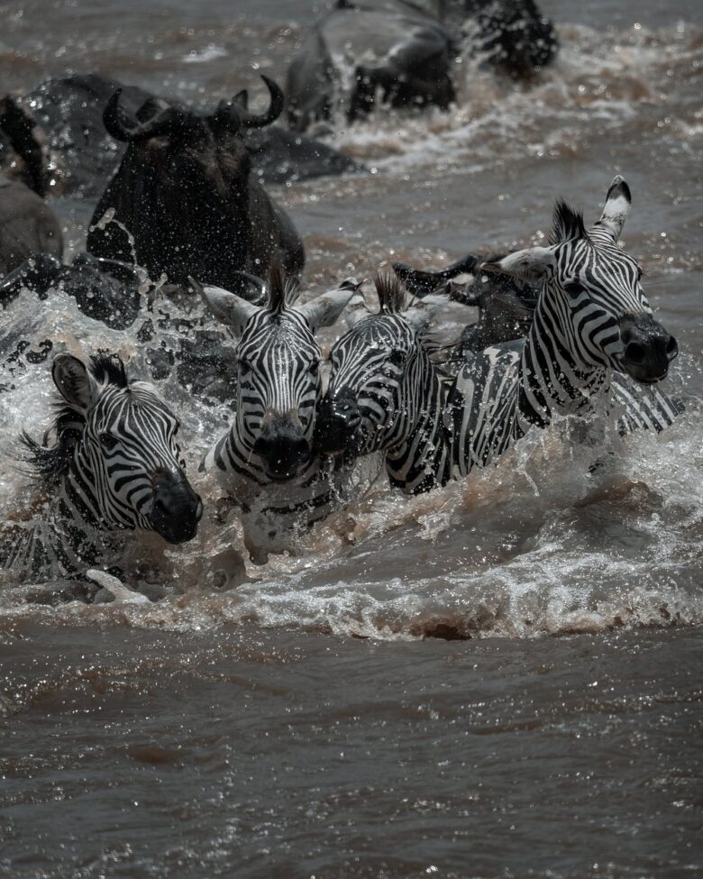 Kenya–Tanzania Luxury Safaris