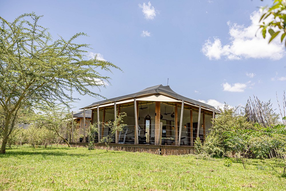 Luxury Safari Lodges & Tented Camps