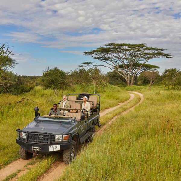 Luxury Safaris