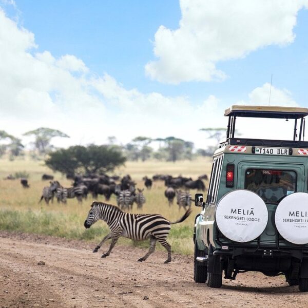 Luxury Safaris