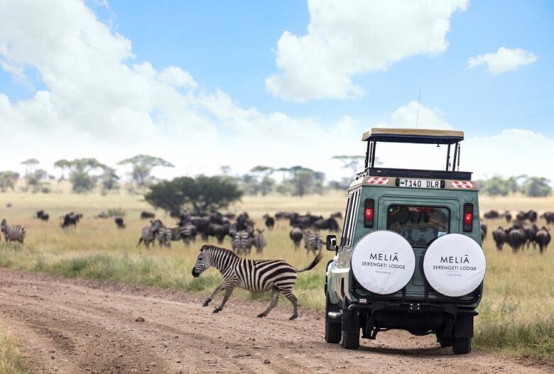 Luxury Safaris