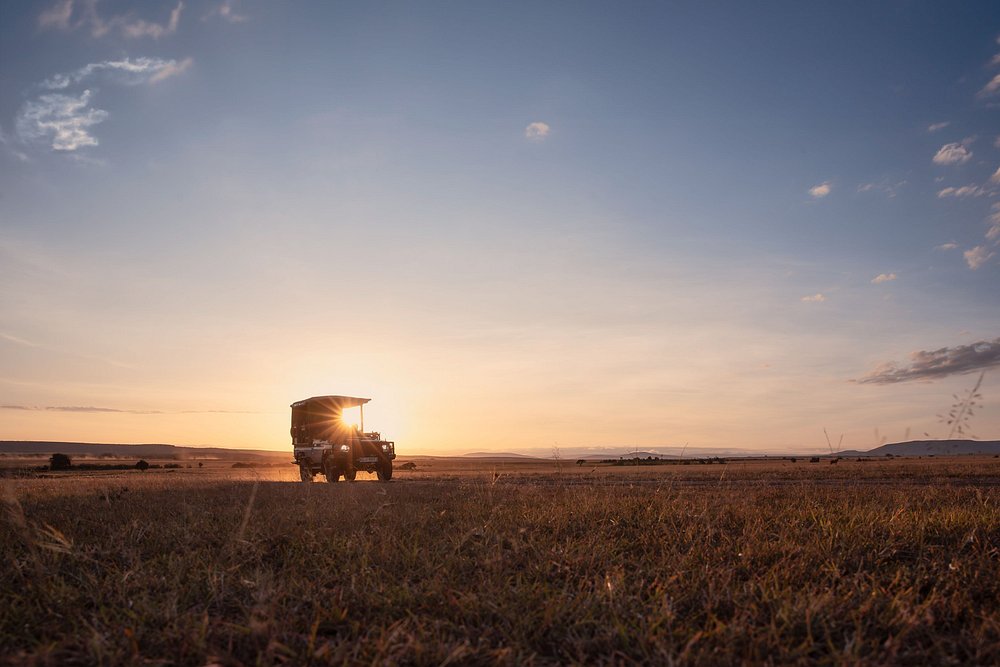 Tanzania Luxury Safaris